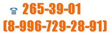 &nbsp;﷯ 265-39-01
(8-996-729-28-91) 